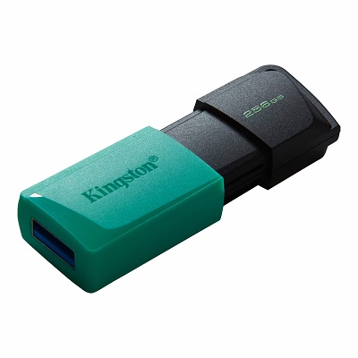 USB 3.2 Flash Drive 256GB Kingston Exodia M DTXM/256GB